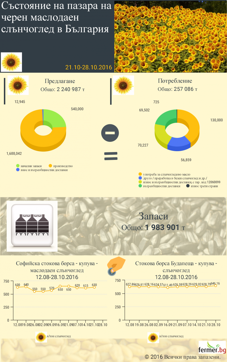 Инфографика: Състояние на пазара на черен маслодаен слънчоглед